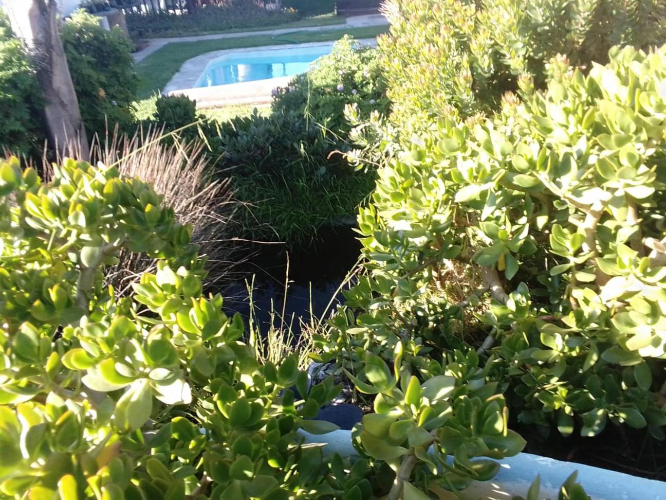 Coco De Mer Self Catering Log 1 Lambertʼs Bay Extérieur photo